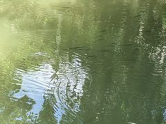 -绍兴启迪乔波冰雪世界