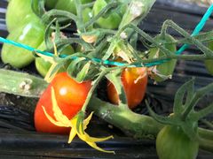 -云龙洗浴商务酒店