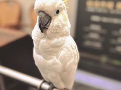 -四海楼(如皋定慧禅寺店)