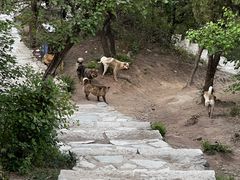 -北京西山国家森林公园