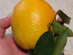 -菜园坝水果市场