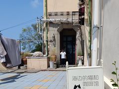 -海边的猫和咖啡馆