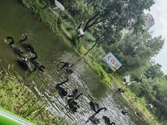 -长白岛森林公园