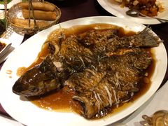罾蹦鲤鱼-津菜典藏河西店(水上店)