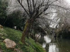-井冈山风景名胜区