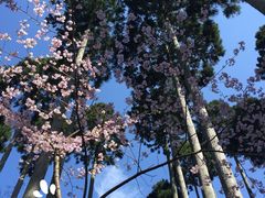 -三千院