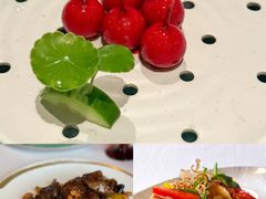 -三号黄浦会Canton Table