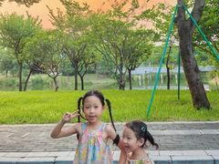 -王借岗森林公园