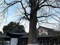 -常熟方塔园