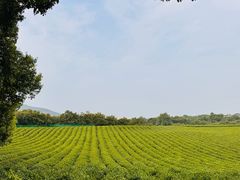 -敬亭山风景名胜区