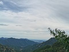-大岭沟猕猴桃谷风景区