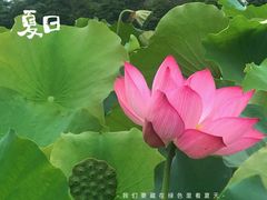 -周立波故居