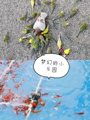 -萌宠亲子动物乐园(槐房万达店)