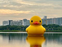 -深圳人才公园