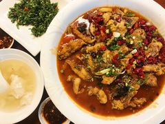 -龙翔山庄雷鸡肉(青城后山泰安古镇店)