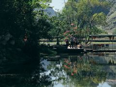-靖西鹅泉风景区