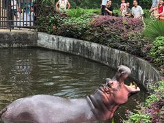 -合肥野生动物园