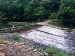 -龙湾潭国家森林公园