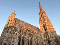 -斯蒂芬主教座堂(Stephansdom)