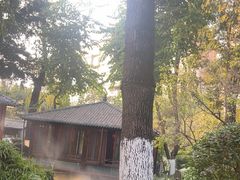 -大妙火锅·非物质文化遗产(东湖公园店)