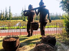 -上海长兴岛郊野公园