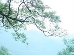 -广州市石门国家森林公园