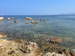 -养马岛旅游度假区