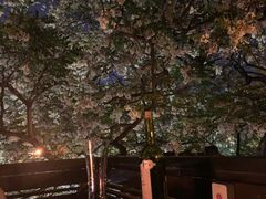 -LAMP BAR 水烟音乐酒吧
