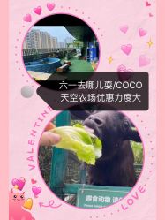 -可可天空农场(中大店)