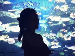 -暹罗海洋世界