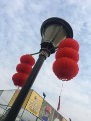 -梦田都市农场(银泰城店)