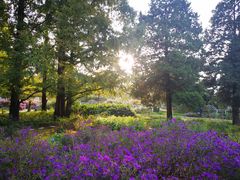 -国家植物园南园