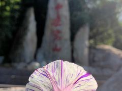 -中原农家乐(中原饭店)