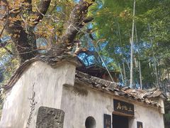 -塔川景区