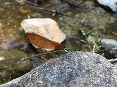 -碓臼峪自然风景区