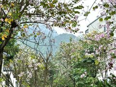 -南丹山森林王国