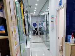 -芭比堂动物医院(广州爱宠下渡路分院)