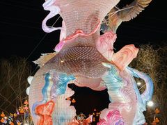 -淄博花灯齐彩城