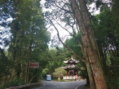 -峨眉山报国寺