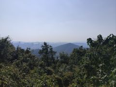 -惠山国家森林公园