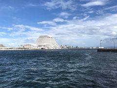 -神户美利坚公园东方大酒店
