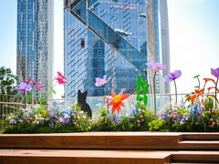 -深圳湾万象城(南山店)