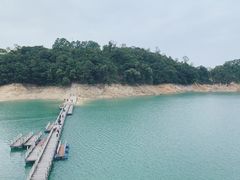 -广州市流溪河国家森林公园