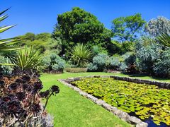 -墨尔本皇家植物园