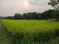 -北坞公园