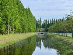 -黄海国家森林公园