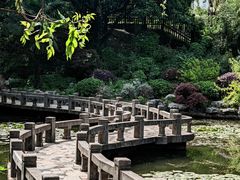 -太子山公园(园东路)