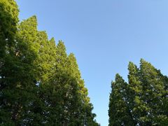 -洛阳市隋唐城遗址植物园
