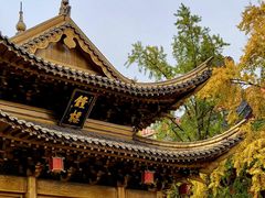 -上海东林寺(金山区)