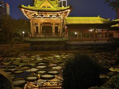 -迎泽公园